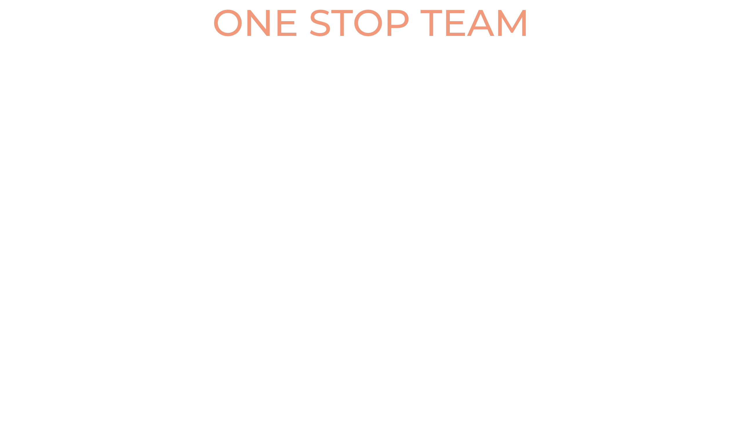ONE TEAM